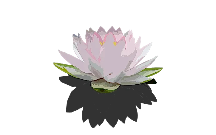 1a lotus full body massage vancouver